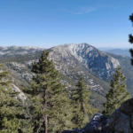 A mountain view from above. Pines are seen in the foreground and a snow-capped mountain is seen in the distance.
